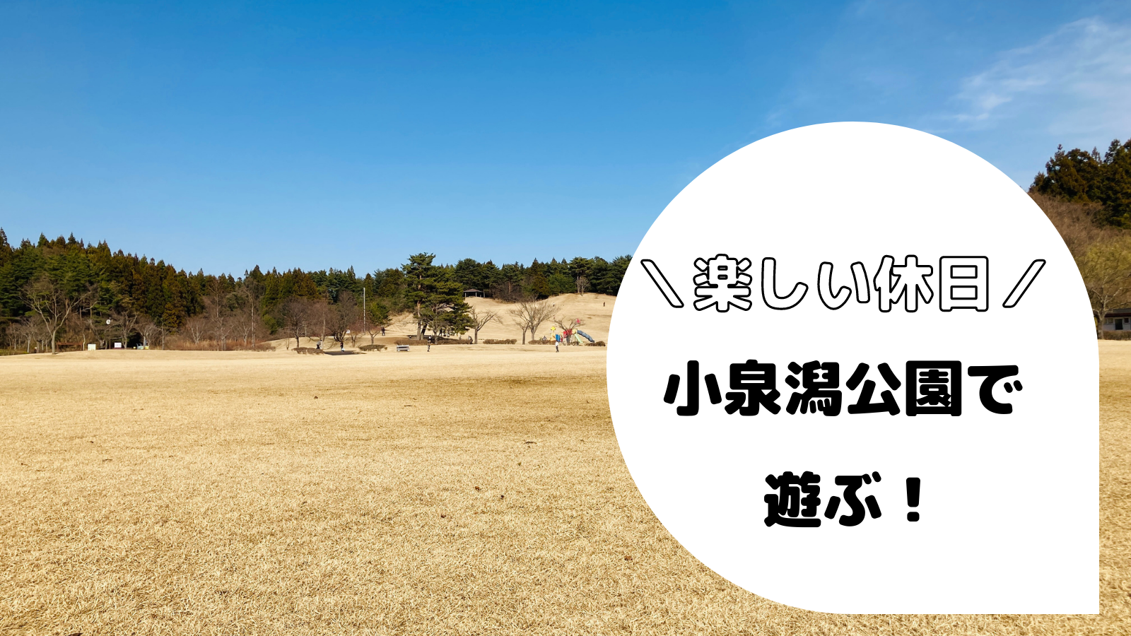 【秋田市移住者必見】子供と遊べる小泉潟公園が最高におすすめ